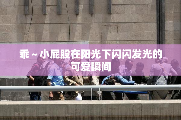 乖～小屁股在阳光下闪闪发光的可爱瞬间