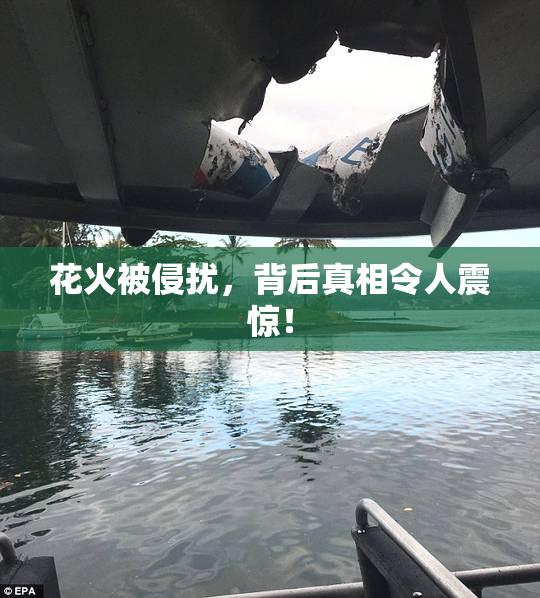 花火被侵扰，背后真相令人震惊！