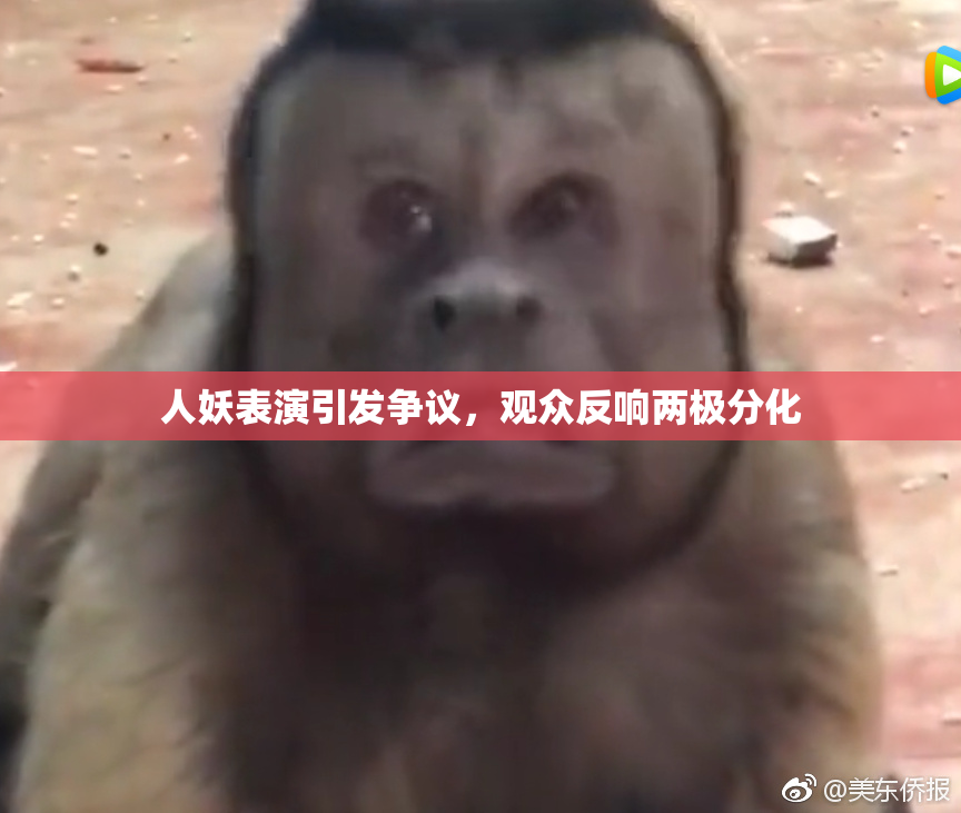 人妖表演引发争议，观众反响两极分化