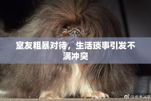 室友粗暴对待，生活琐事引发不满冲突