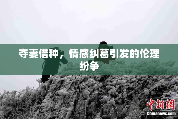 夺妻借种，情感纠葛引发的伦理纷争