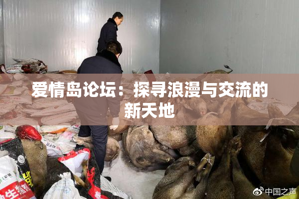 爱情岛论坛：探寻浪漫与交流的新天地