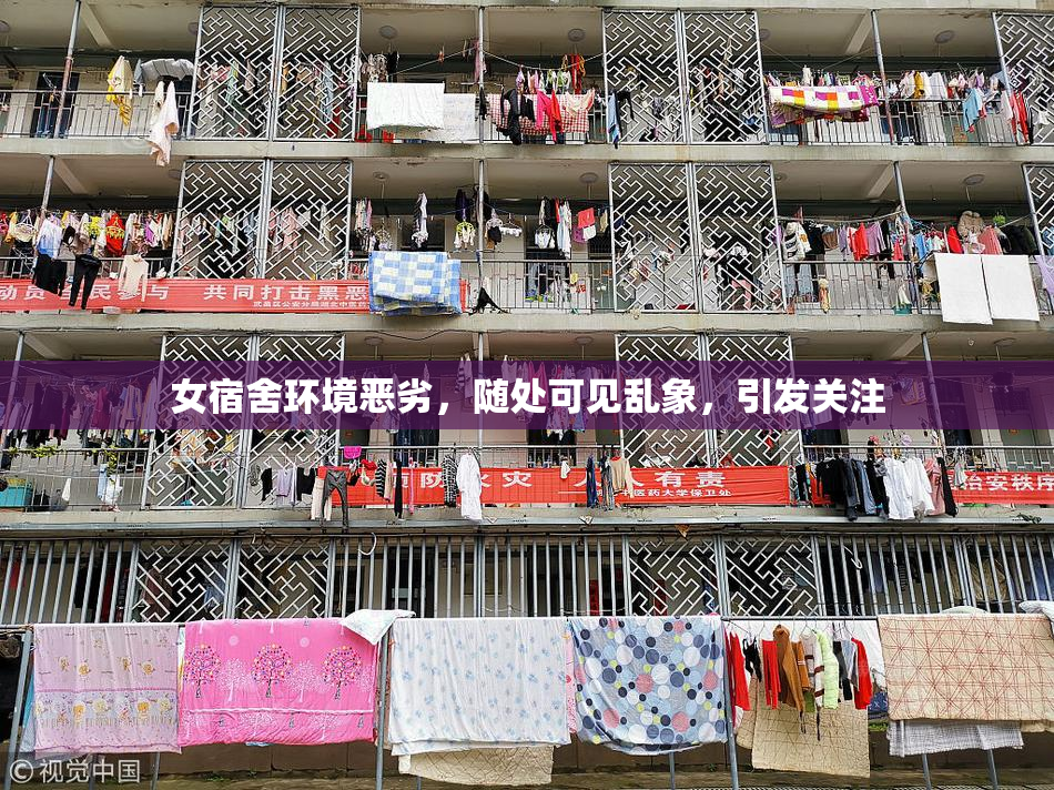 女宿舍环境恶劣，随处可见乱象，引发关注