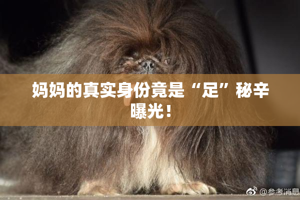 妈妈的真实身份竟是“足”秘辛曝光！