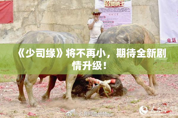 《少司缘》将不再小，期待全新剧情升级！