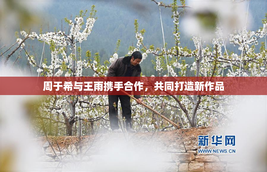周于希与王雨携手合作，共同打造新作品