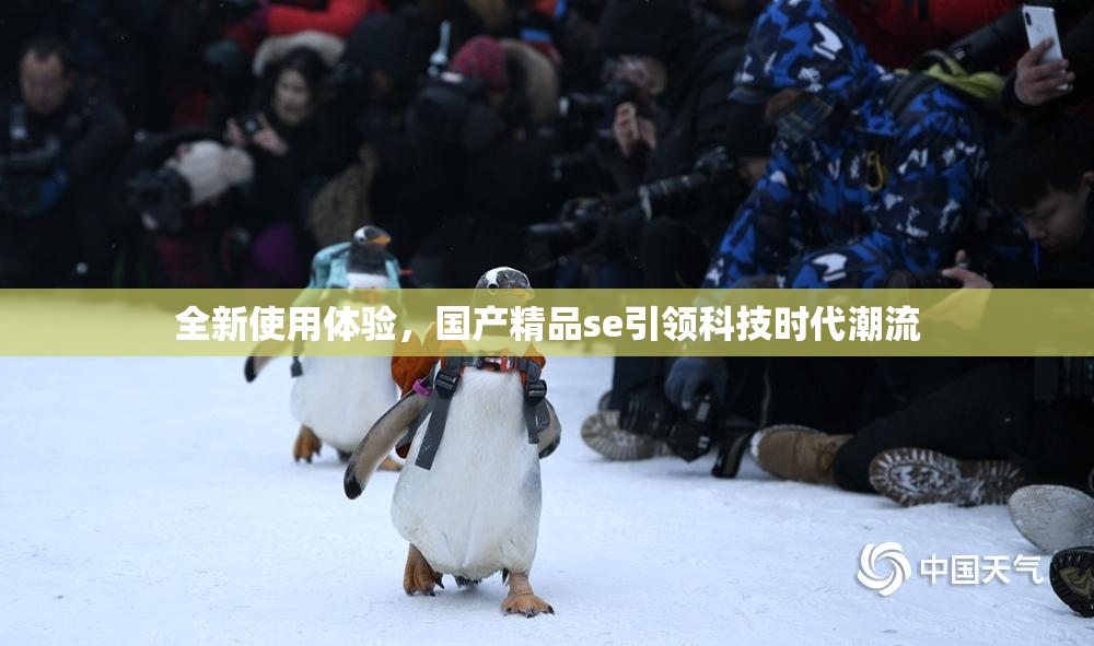 全新使用体验，国产精品se引领科技时代潮流