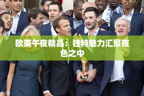 欧美午夜精品：独特魅力汇聚夜色之中