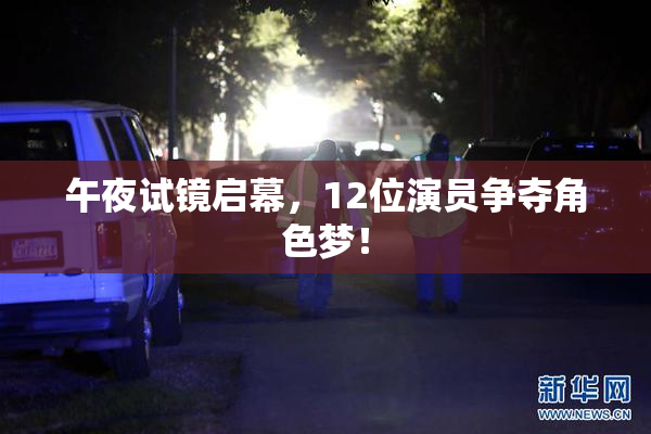 午夜试镜启幕，12位演员争夺角色梦！
