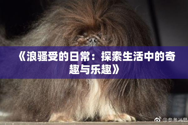 《浪骚受的日常：探索生活中的奇趣与乐趣》