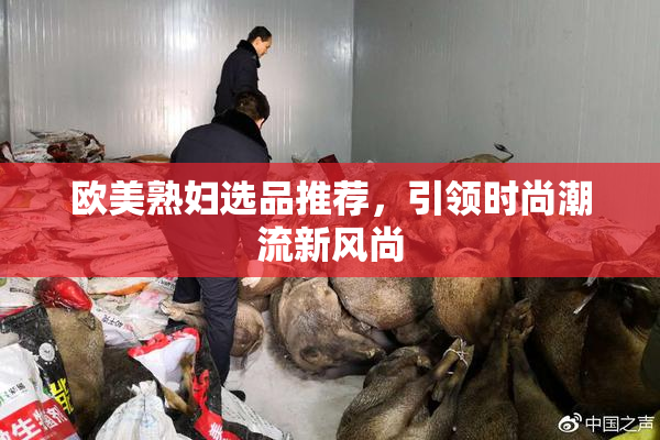 欧美熟妇选品推荐，引领时尚潮流新风尚