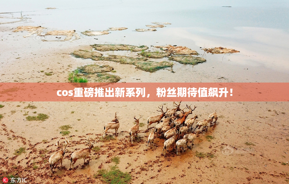 cos重磅推出新系列，粉丝期待值飙升！