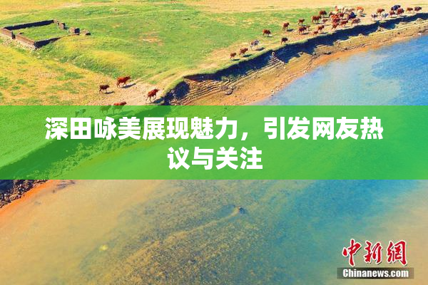 深田咏美展现魅力，引发网友热议与关注