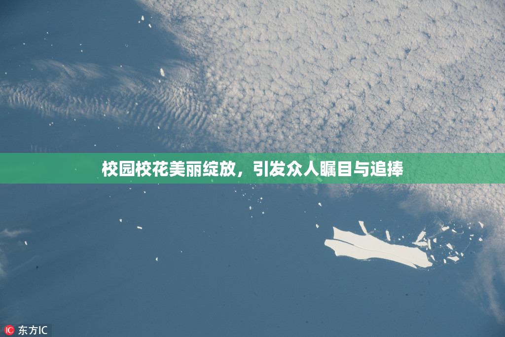 校园校花美丽绽放，引发众人瞩目与追捧