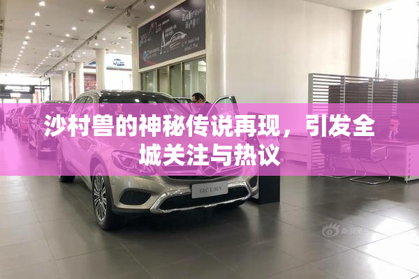 沙村兽的神秘传说再现，引发全城关注与热议