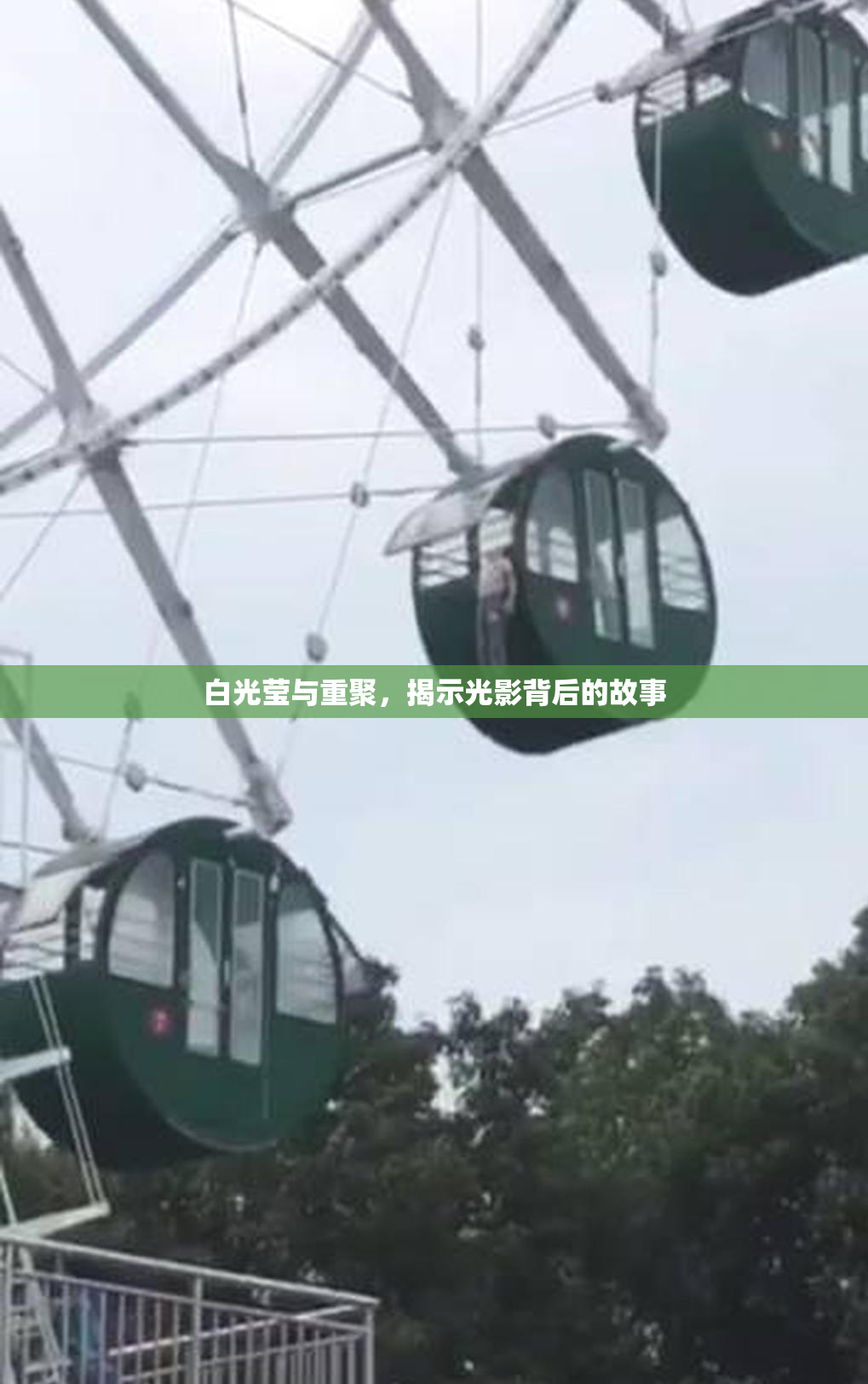 白光莹与重聚，揭示光影背后的故事