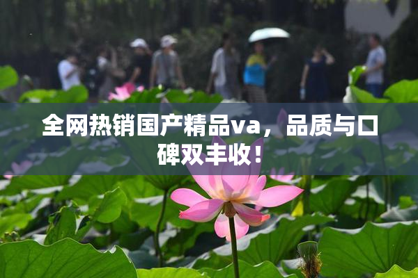全网热销国产精品va，品质与口碑双丰收！