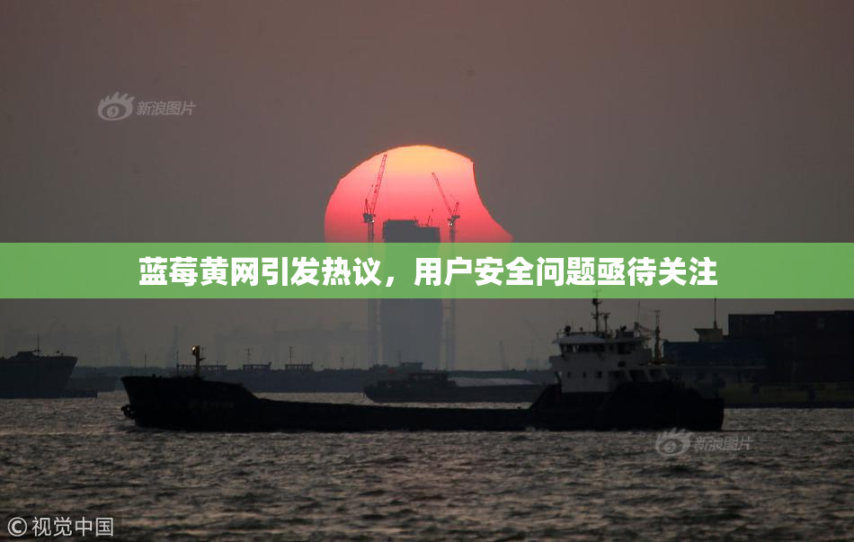 蓝莓黄网引发热议，用户安全问题亟待关注