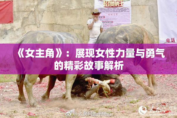 《女主角》：展现女性力量与勇气的精彩故事解析