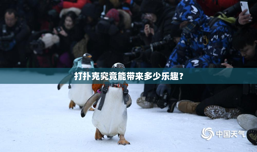 打扑克究竟能带来多少乐趣？