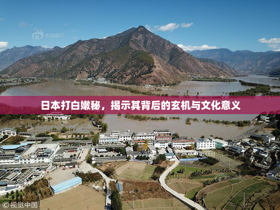 日本打白嫩秘，揭示其背后的玄机与文化意义