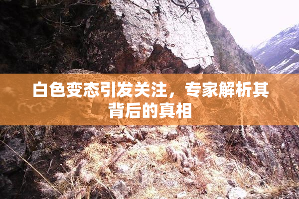白色变态引发关注，专家解析其背后的真相