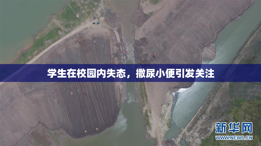 学生在校园内失态，撒尿小便引发关注