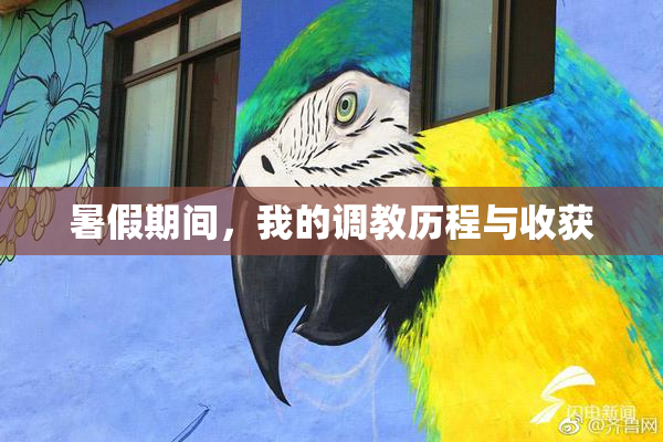 暑假期间，我的调教历程与收获