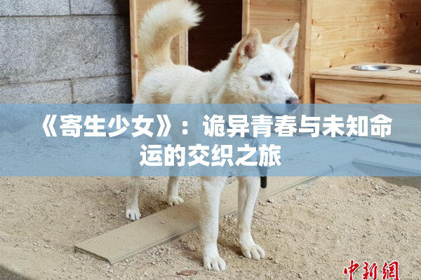 《寄生少女》：诡异青春与未知命运的交织之旅