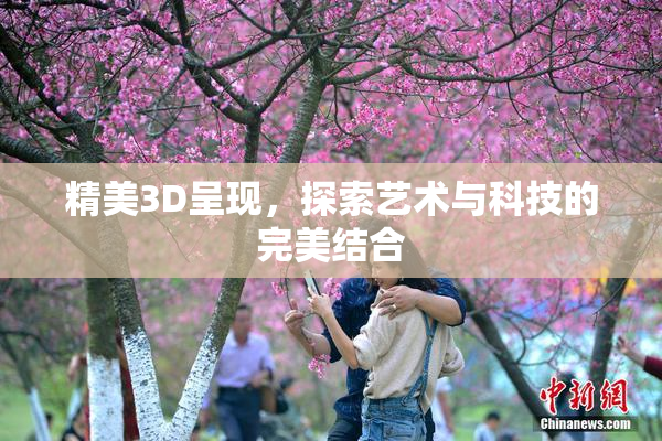 精美3D呈现，探索艺术与科技的完美结合