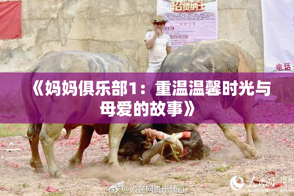 《妈妈俱乐部1：重温温馨时光与母爱的故事》