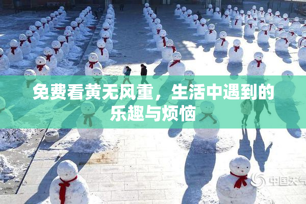 免费看黄无风重，生活中遇到的乐趣与烦恼