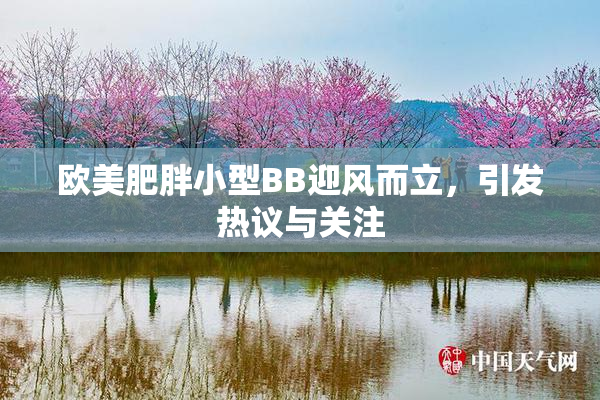 欧美肥胖小型BB迎风而立，引发热议与关注