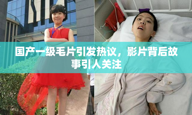 国产一级毛片引发热议，影片背后故事引人关注