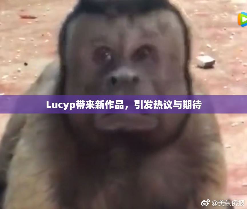 Lucyp带来新作品，引发热议与期待