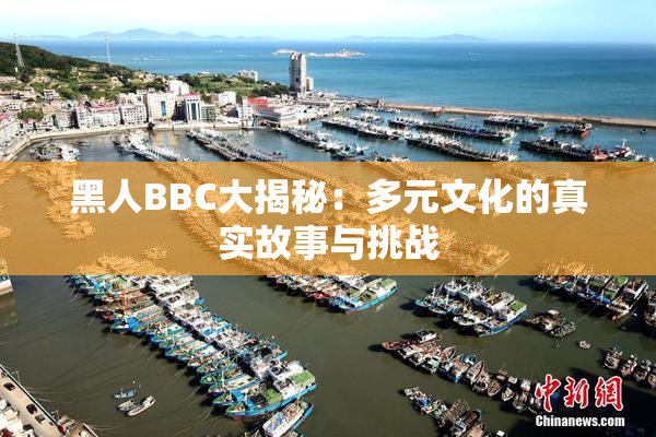 黑人BBC大揭秘：多元文化的真实故事与挑战