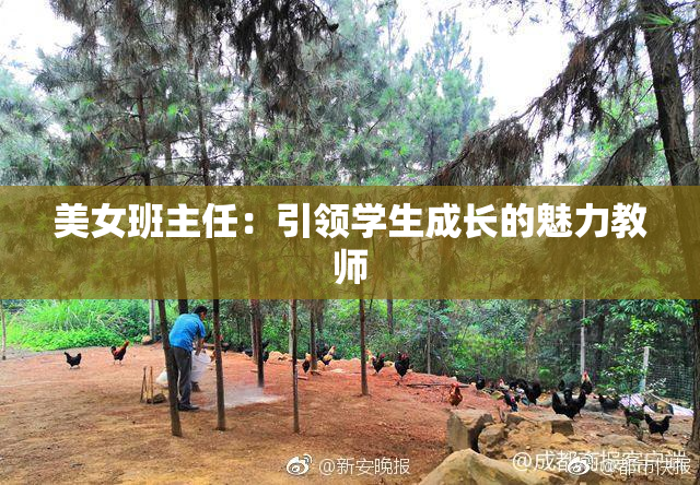 美女班主任：引领学生成长的魅力教师