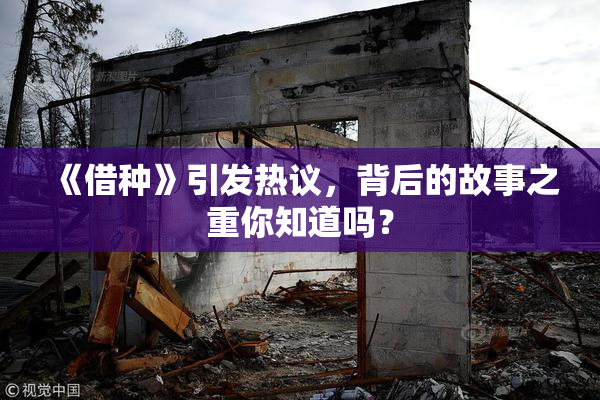 《借种》引发热议，背后的故事之重你知道吗？