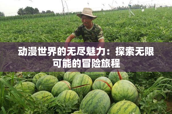 动漫世界的无尽魅力：探索无限可能的冒险旅程