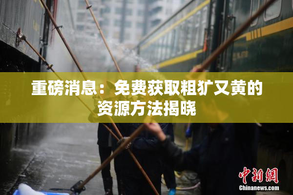 重磅消息：免费获取粗犷又黄的资源方法揭晓