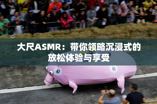 大尺ASMR：带你领略沉浸式的放松体验与享受