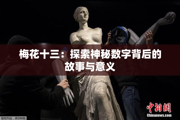 梅花十三：探索神秘数字背后的故事与意义