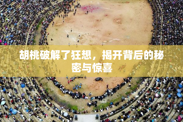 胡桃破解了狂想，揭开背后的秘密与惊喜