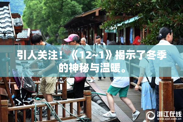 引人关注！《12~1》揭示了冬季的神秘与温暖。