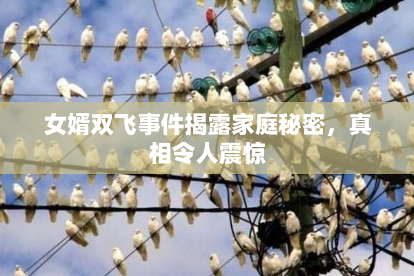 女婿双飞事件揭露家庭秘密，真相令人震惊