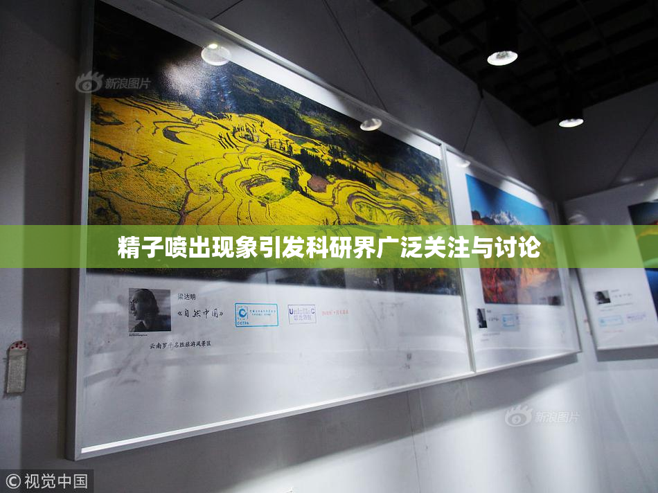 精子喷出现象引发科研界广泛关注与讨论