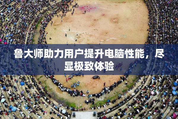 鲁大师助力用户提升电脑性能，尽显极致体验