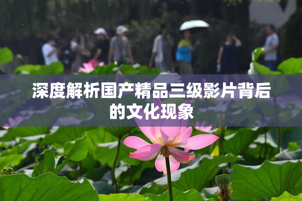 深度解析国产精品三级影片背后的文化现象