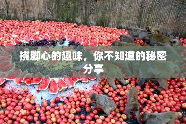 挠脚心的趣味，你不知道的秘密分享