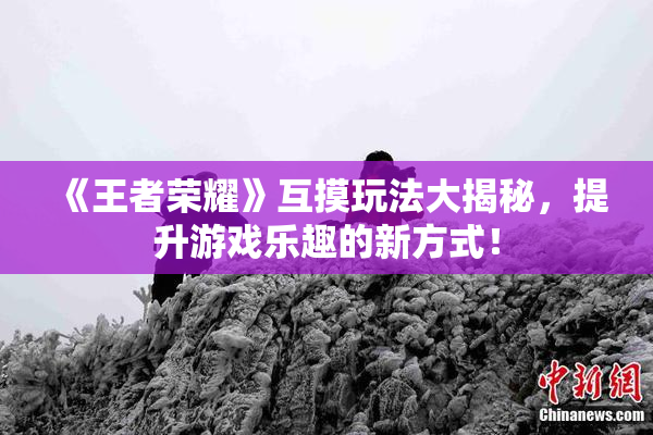 《王者荣耀》互摸玩法大揭秘，提升游戏乐趣的新方式！